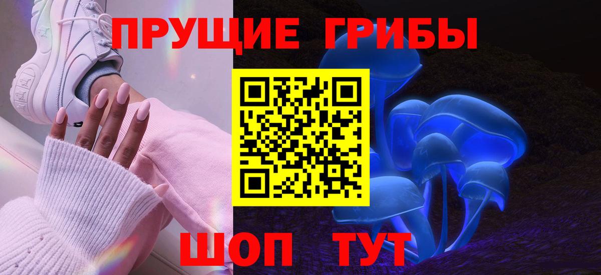 Псилоцибиновые грибы мицелий Электросталь