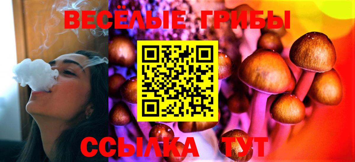 Электросталь  Псилоцибиновые грибы ЛСД  Вход с VPN 